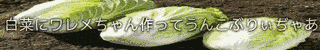 C݂Ȑ